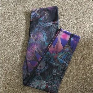 Evolution and Creation Legging